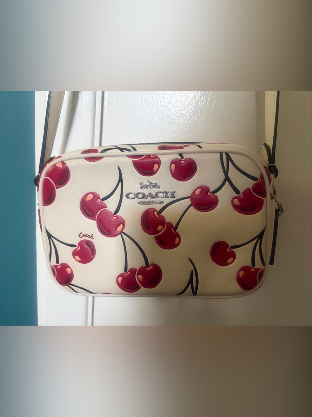 Coach Cherries Mini Jamie Camera Bag